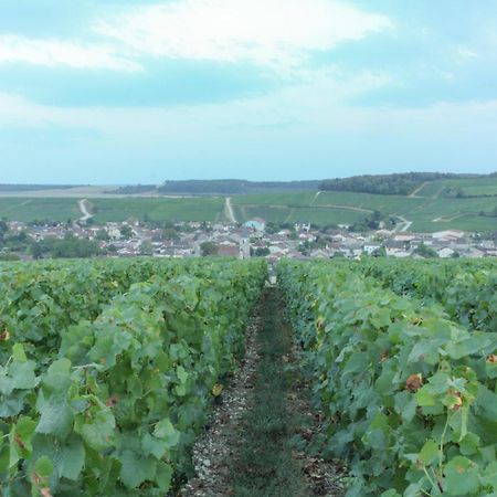 Une Parenthese En Champagne Jaucourt Екстериор снимка