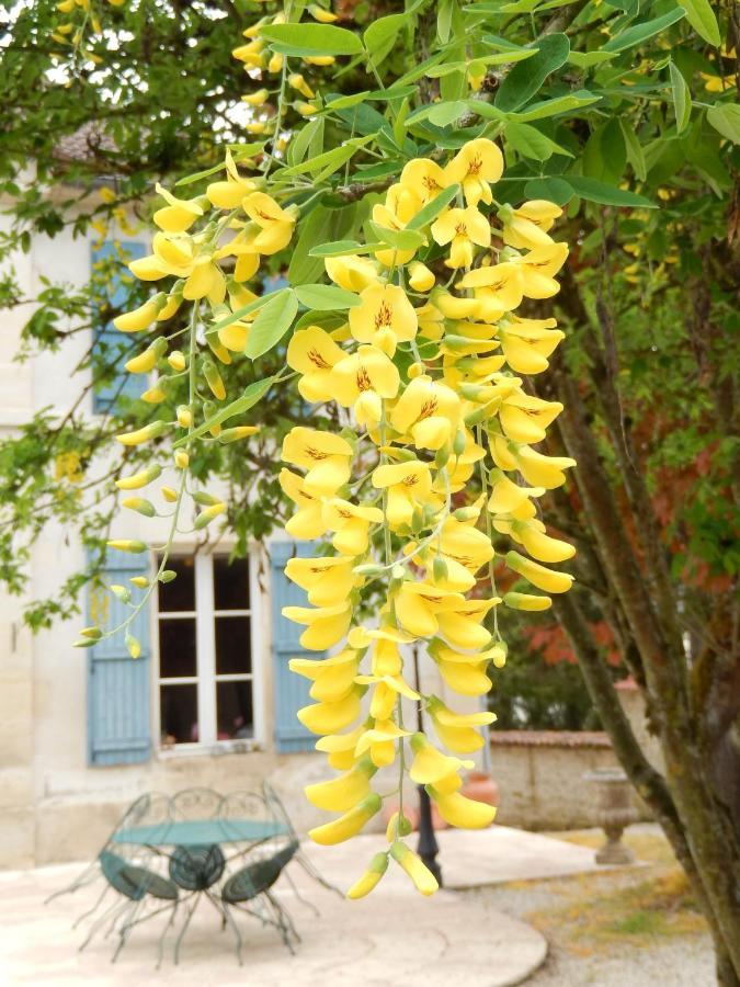 Une Parenthese En Champagne Jaucourt Екстериор снимка