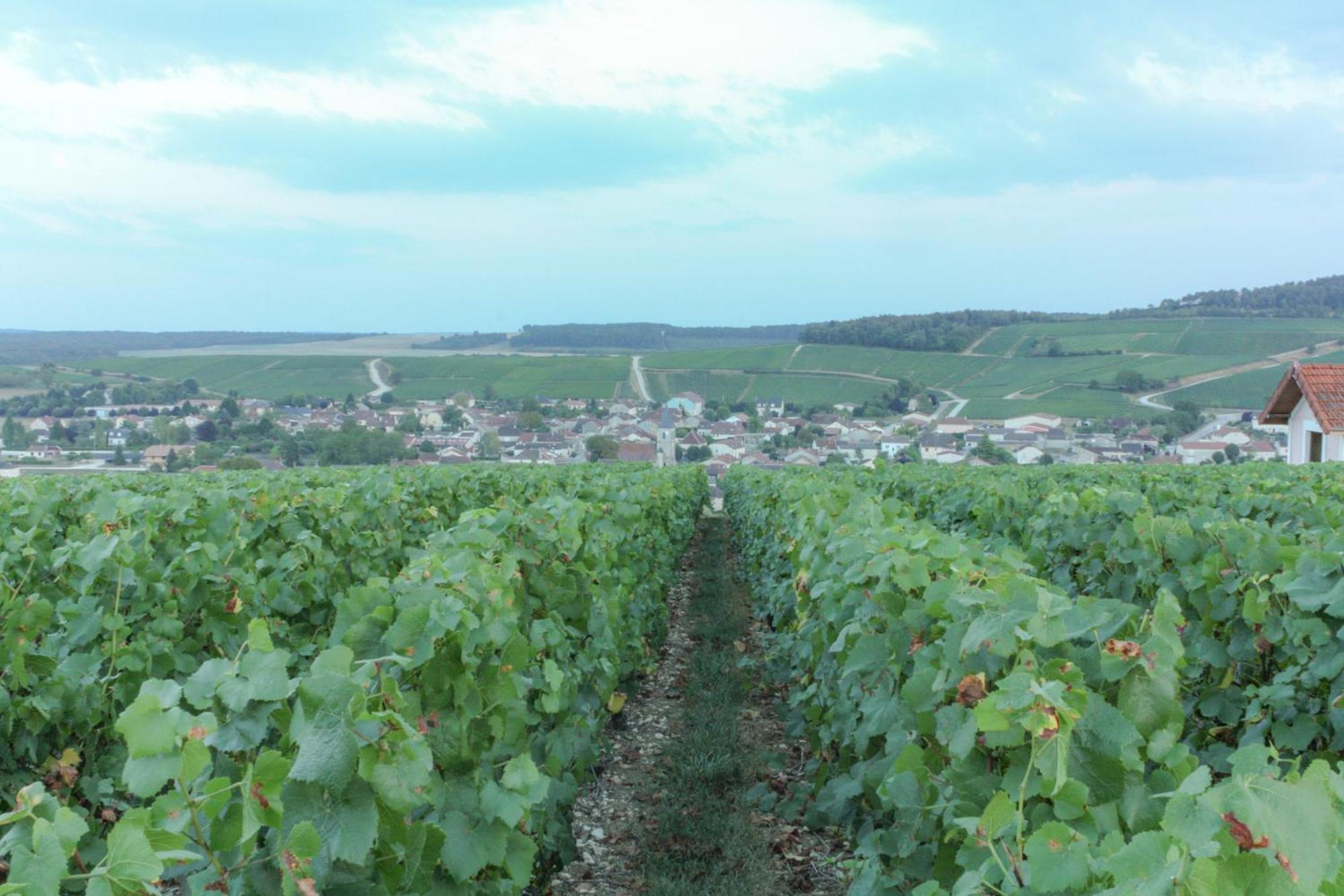 Une Parenthese En Champagne Jaucourt Екстериор снимка